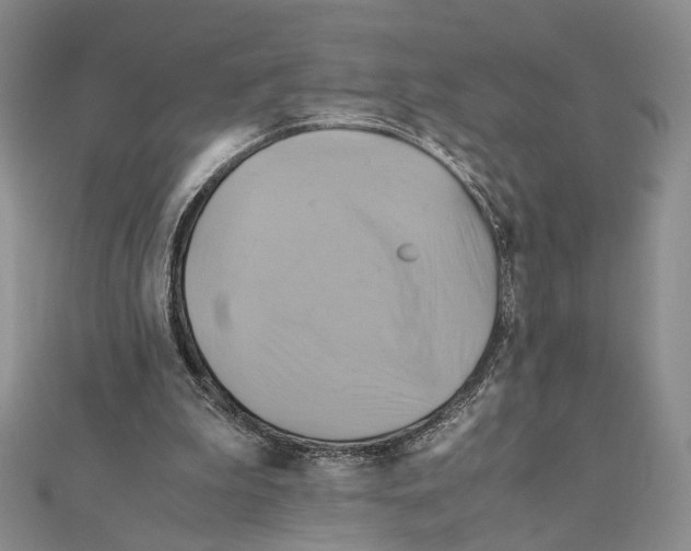 X0000110970199200907310936
