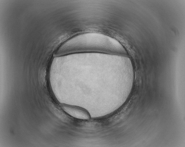 X0000110970201200907310936