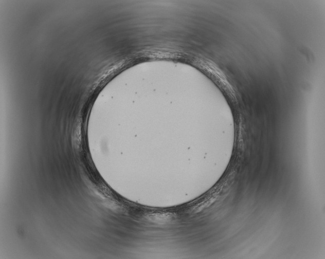 X0000110970202200907310936