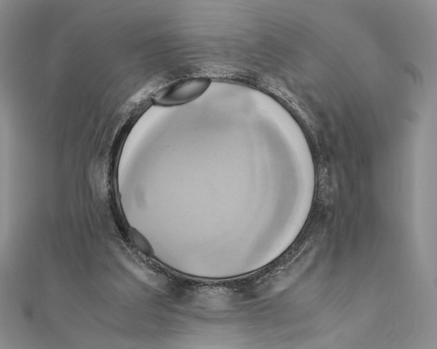 X0000110970203200907310936