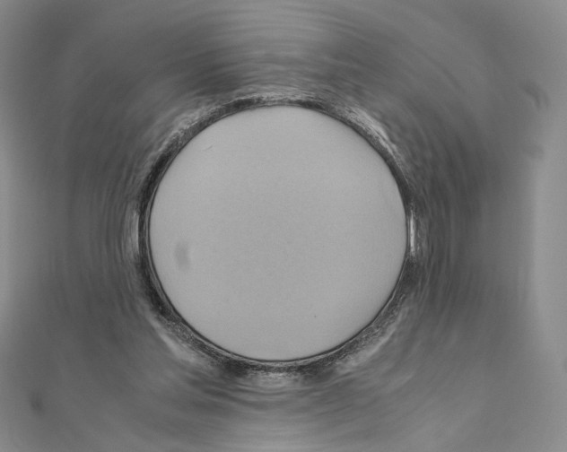 X0000110970205200907310936