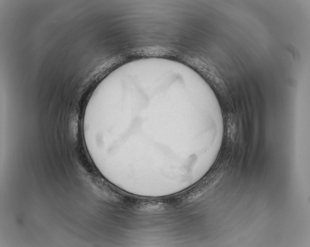 X0000110970206200907310936