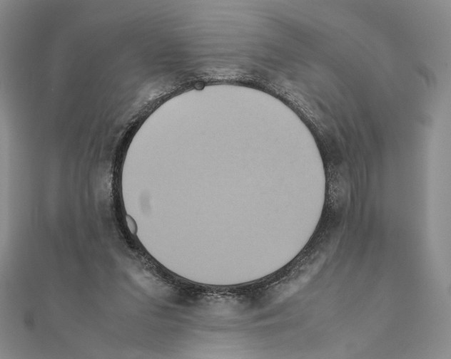X0000110970207200907310936