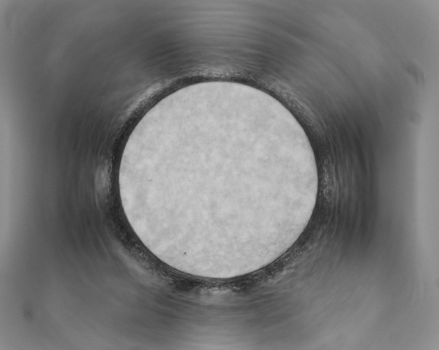 X0000110970208200907310936