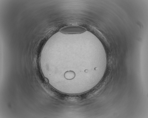 X0000110970209200907310936