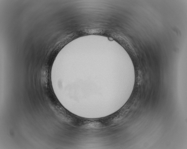 X0000110970210200907310936