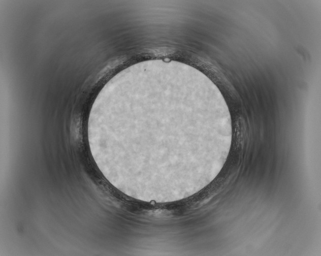X0000110970212200907310936