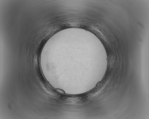 X0000110970213200907310936