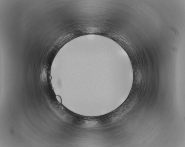 X0000110970214200907310936
