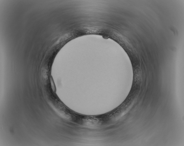 X0000110970215200907310936