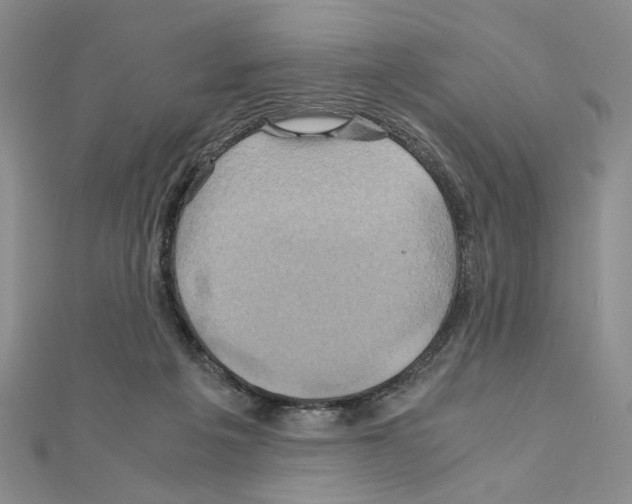 X0000110970217200907310936
