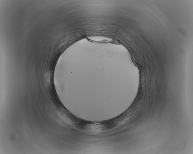 X0000110970219200907310936