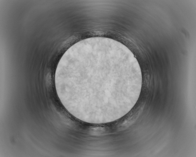 X0000110970220200907310936