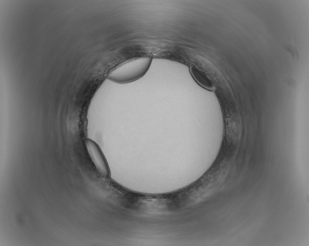 X0000110970221200907310936