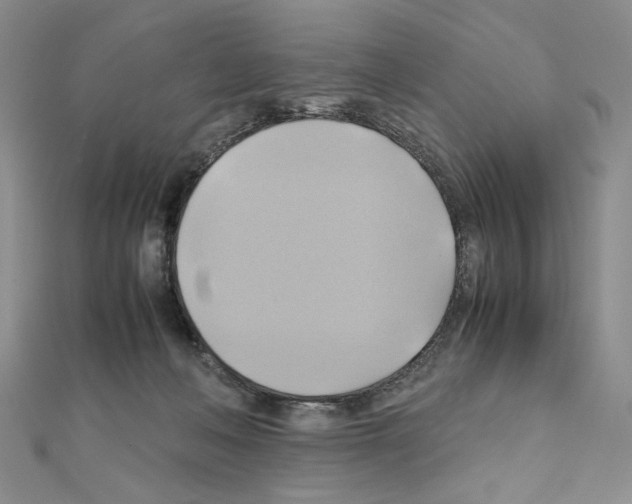X0000110970222200907310936