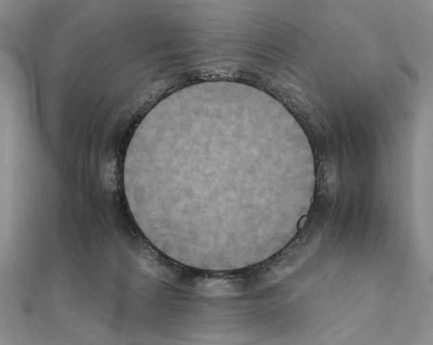 X0000110970224200907310936