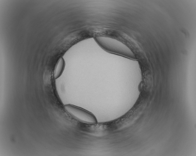 X0000110970225200907310936