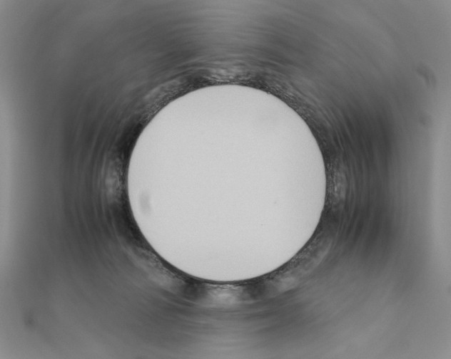 X0000110970226200907310936