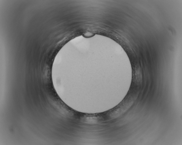 X0000110970228200907310936
