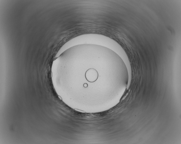 X0000110970229200907310936