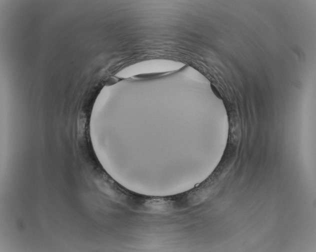 X0000110970231200907310936