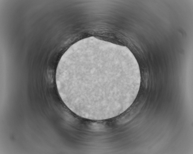 X0000110970232200907310936