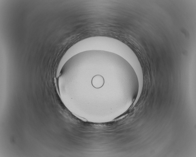 X0000110970233200907310936