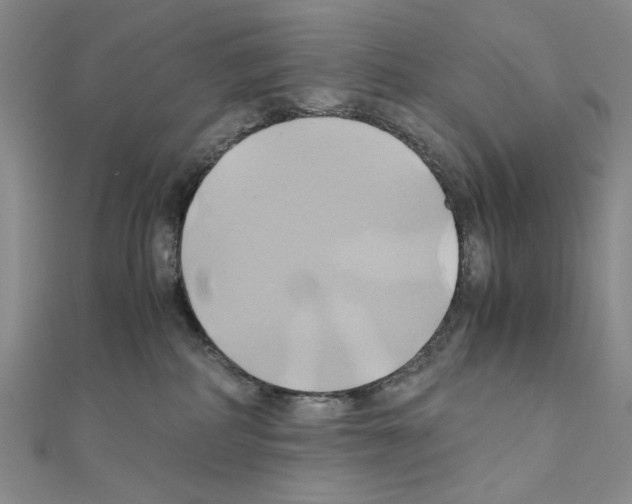 X0000110970234200907310936