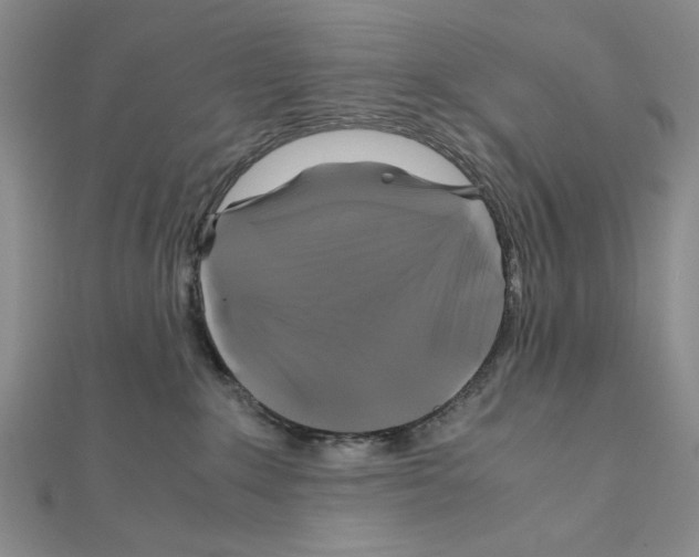 X0000110970235200907310936