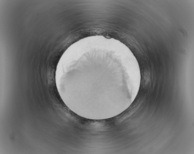 X0000110970236200907310936
