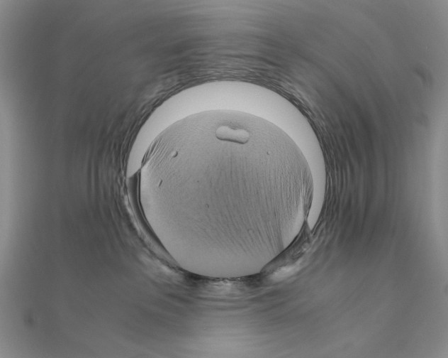 X0000110970237200907310936