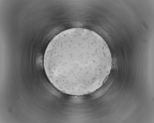 X0000110970238200907310936