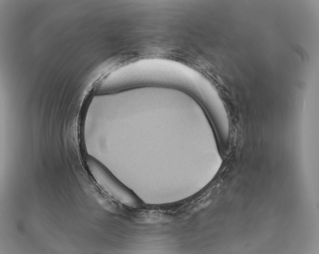 X0000110970244200907310935