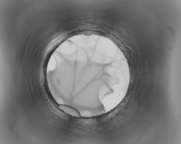 X0000110970245200907310935
