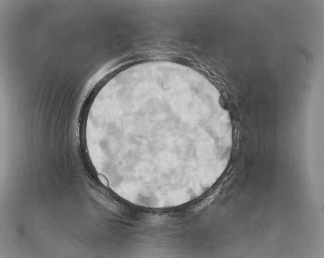 X0000110970246200907310935