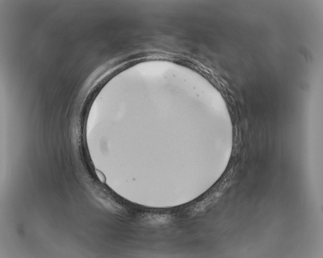 X0000110970247200907310935