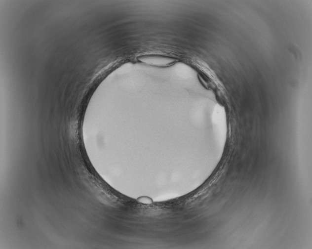 X0000110970249200907310935