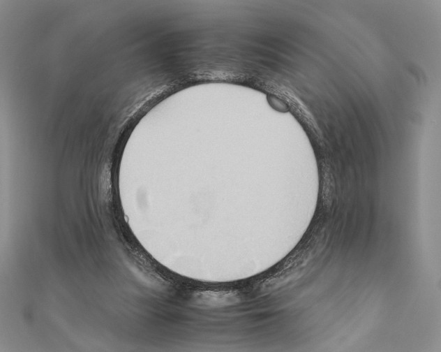 X0000110970251200907310935