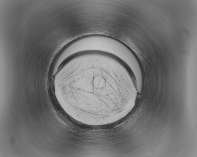X0000110970252200907310935