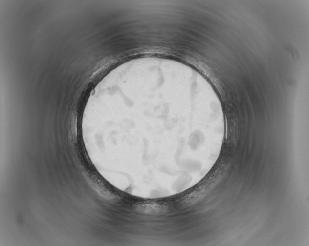 X0000110970253200907310935