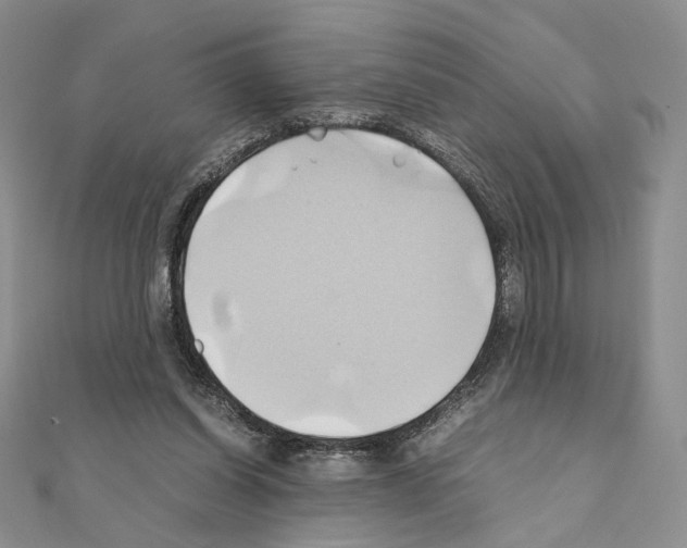 X0000110970254200907310935