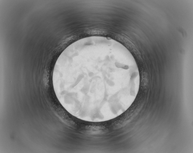 X0000110970255200907310935