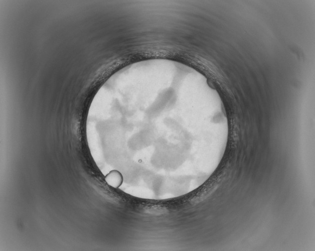 X0000110970258200907310935