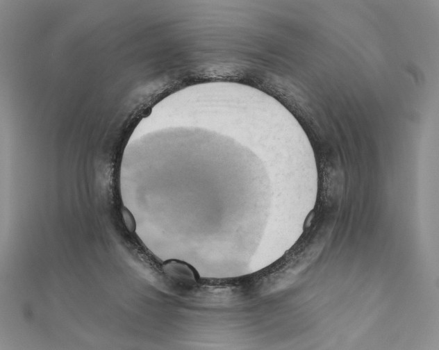 X0000110970260200907310935