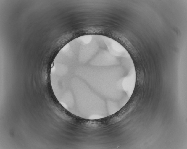 X0000110970261200907310935