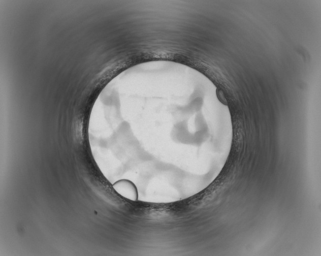 X0000110970262200907310935