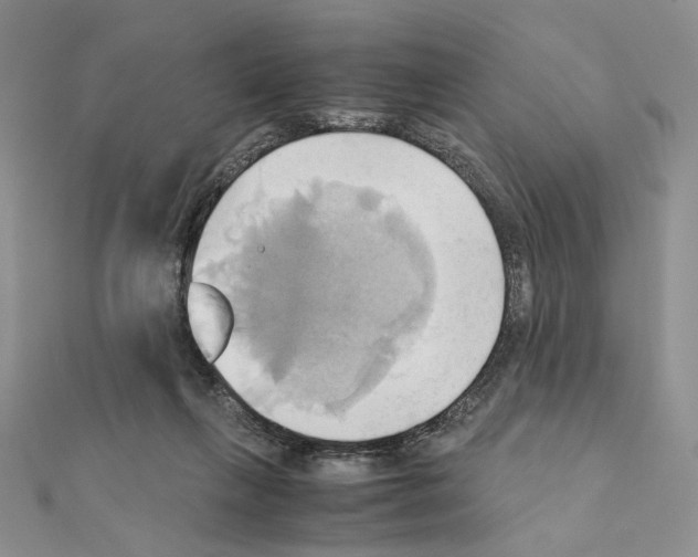 X0000110970263200907310935