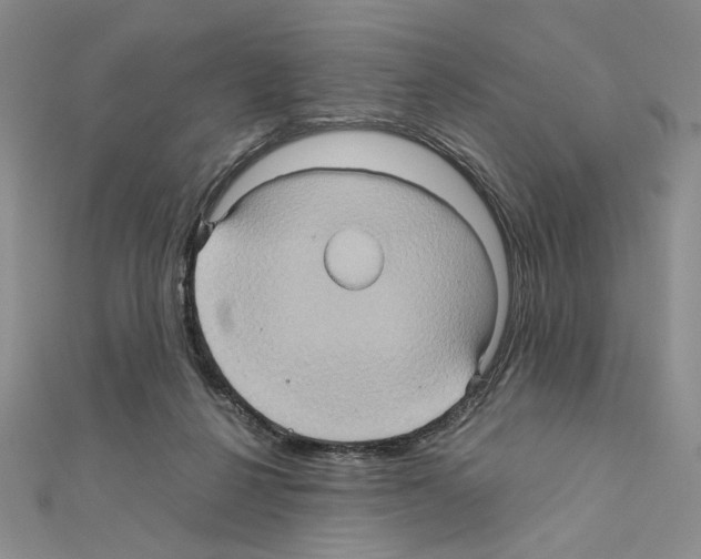 X0000110970264200907310935