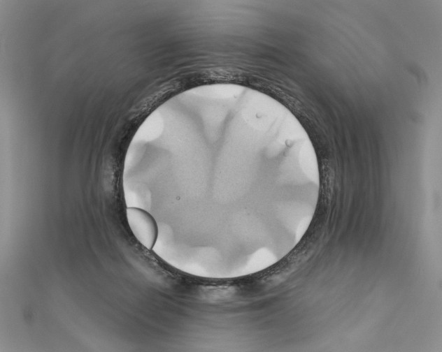 X0000110970266200907310935