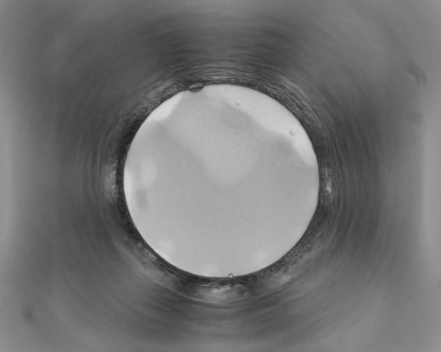 X0000110970267200907310935
